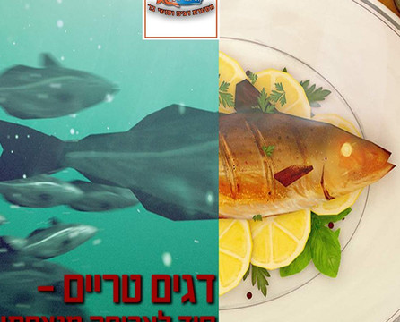 Hadi Fish from Jaffa主图