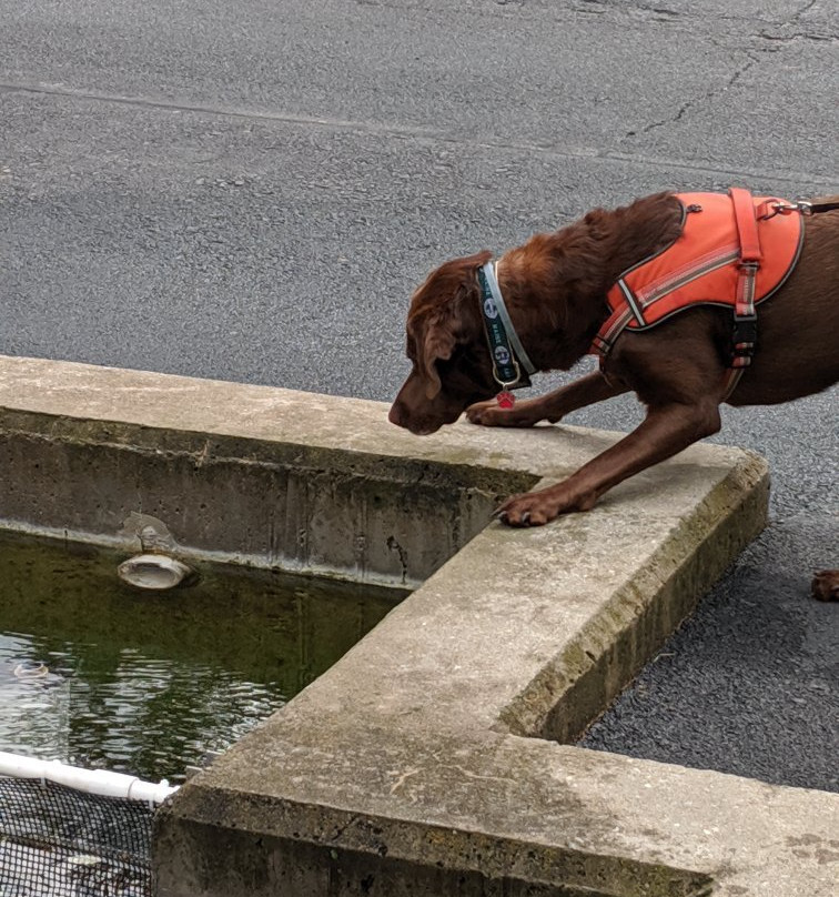 Powder Mills Park-Pittsford必去景点