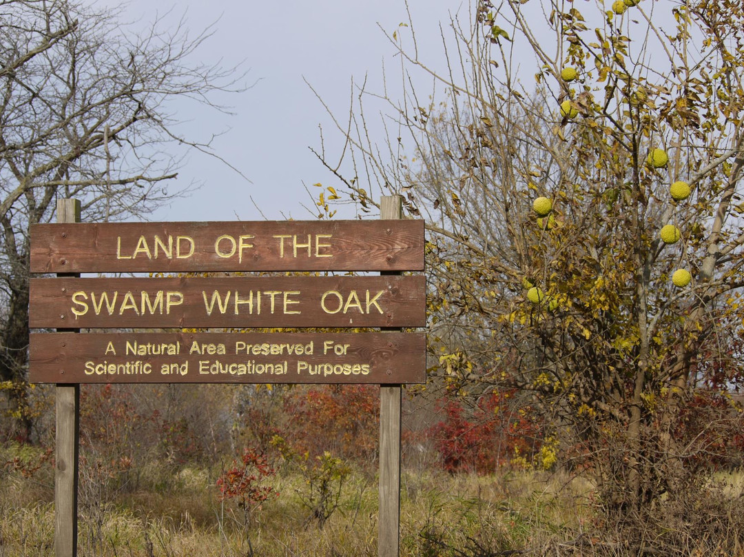Land of the Swamp White Oak Preserve景点图片