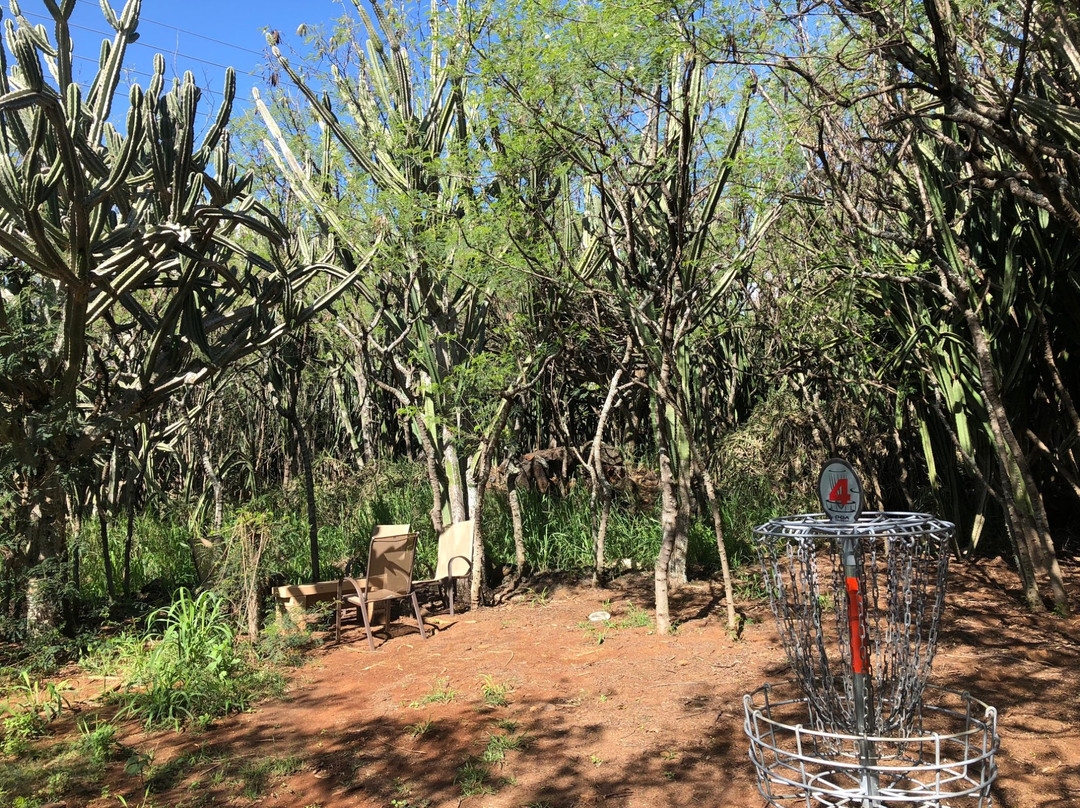 Weliweli Disc Golf Course-可洛亚必去景点