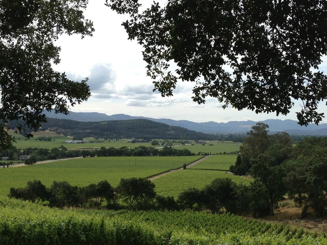 Hartwell Vineyards景点图片