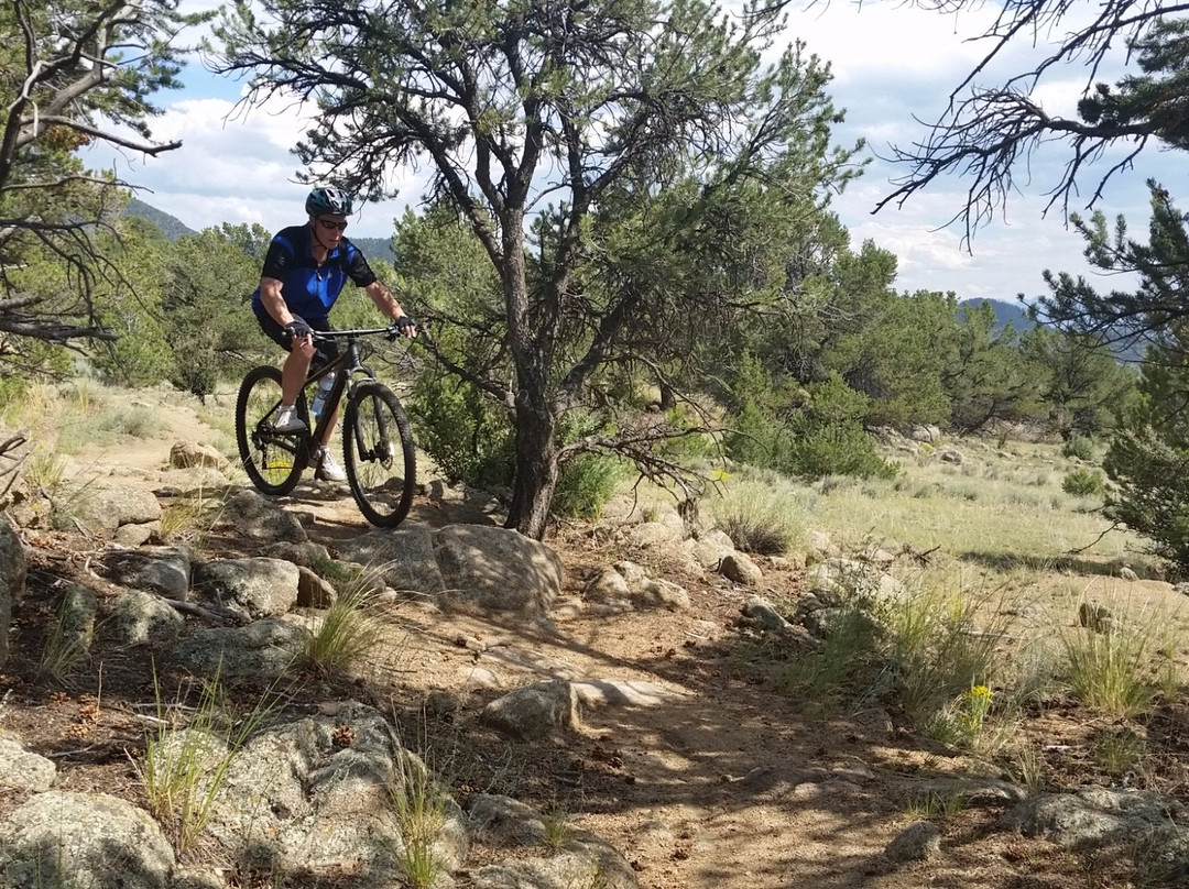 Boneshaker Cycles-布埃纳维斯塔必去景点
