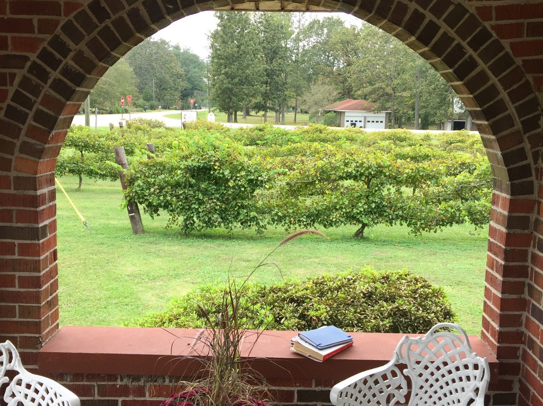 Maraella Winery-Hokes Bluff必去景点