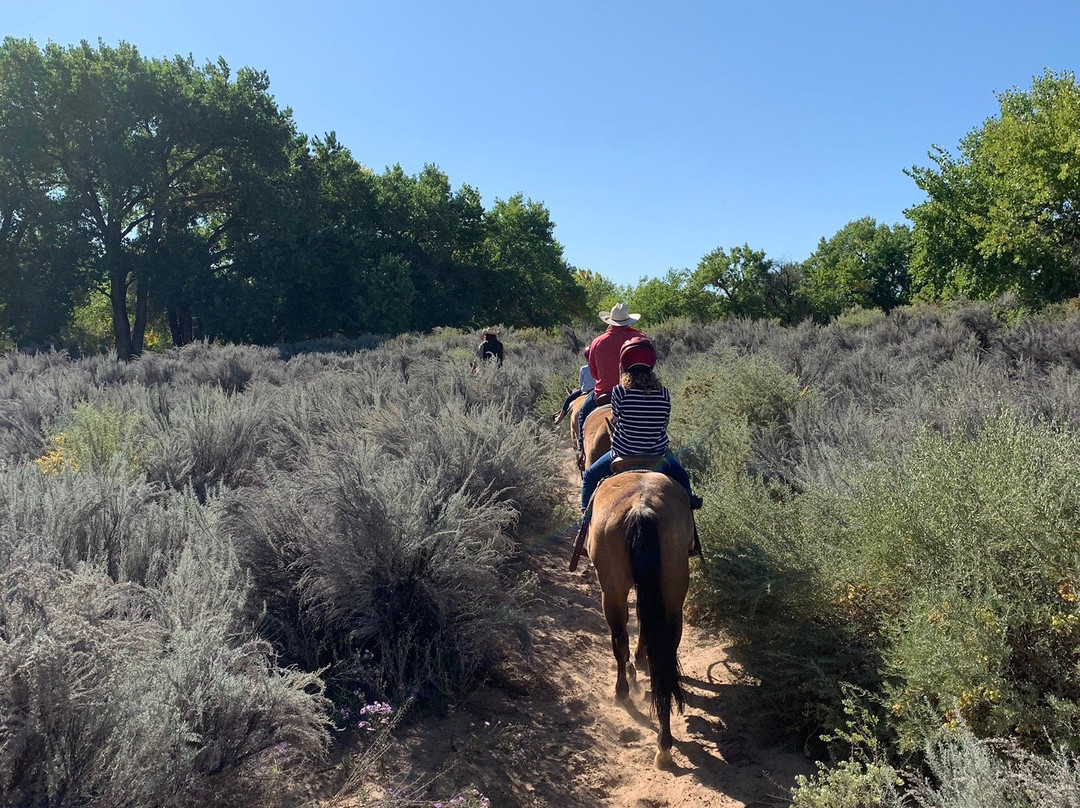 Running Horse Ranch景点图片