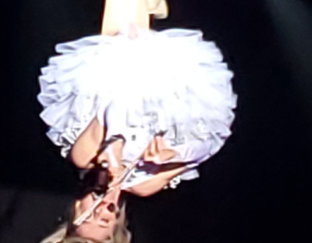 A Janice Martin Variety Show (formerly Janice Martin Cirque Show)景点图片