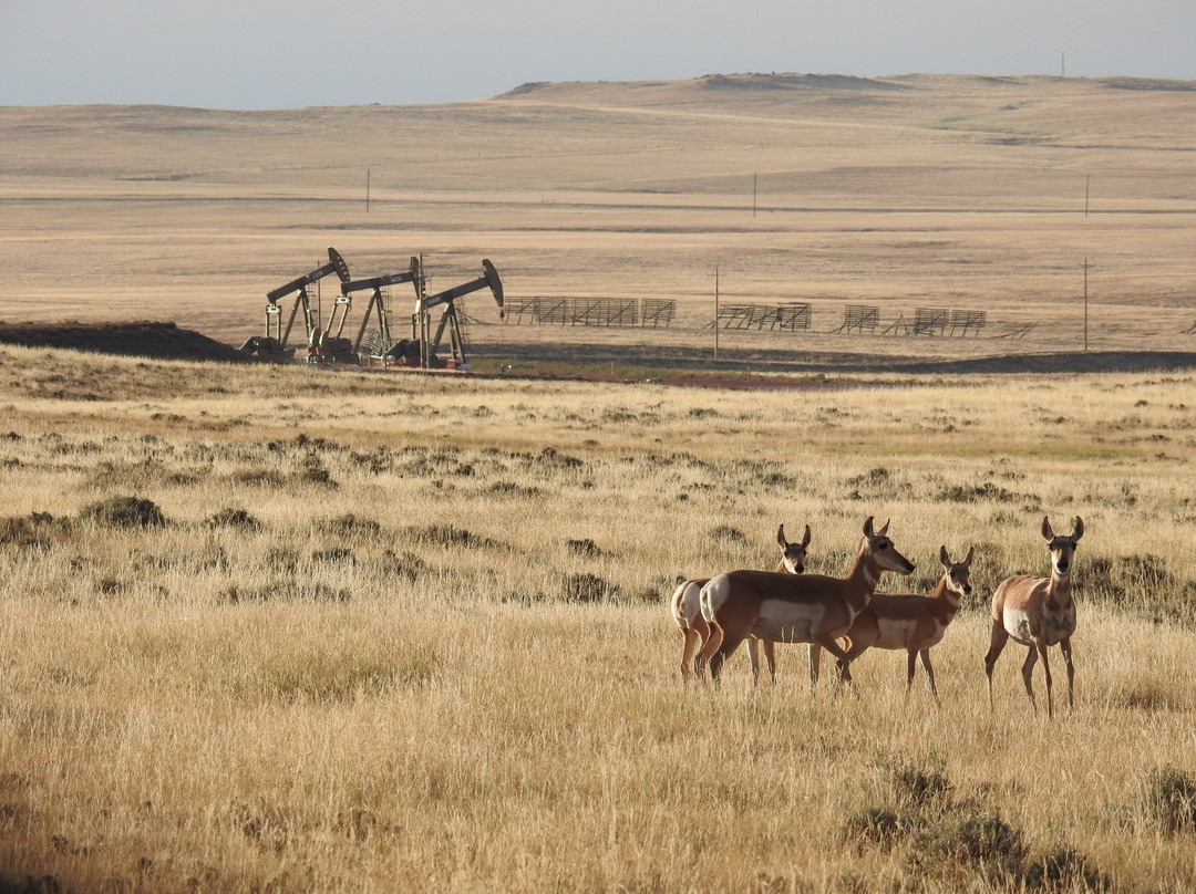 Thunder Basin National Grassland景点图片