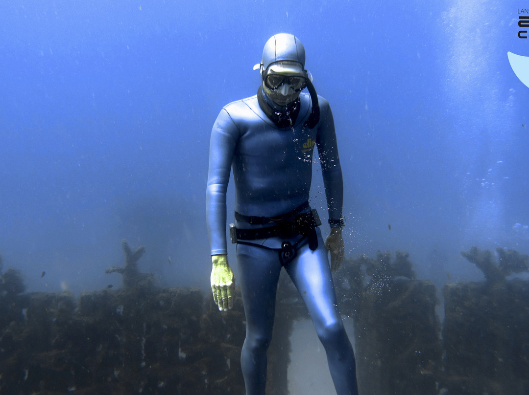 Apnea Canarias-卡门港必去景点