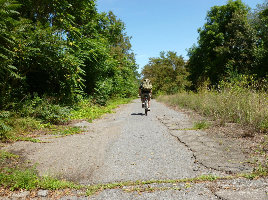 Pike to Bike景点图片