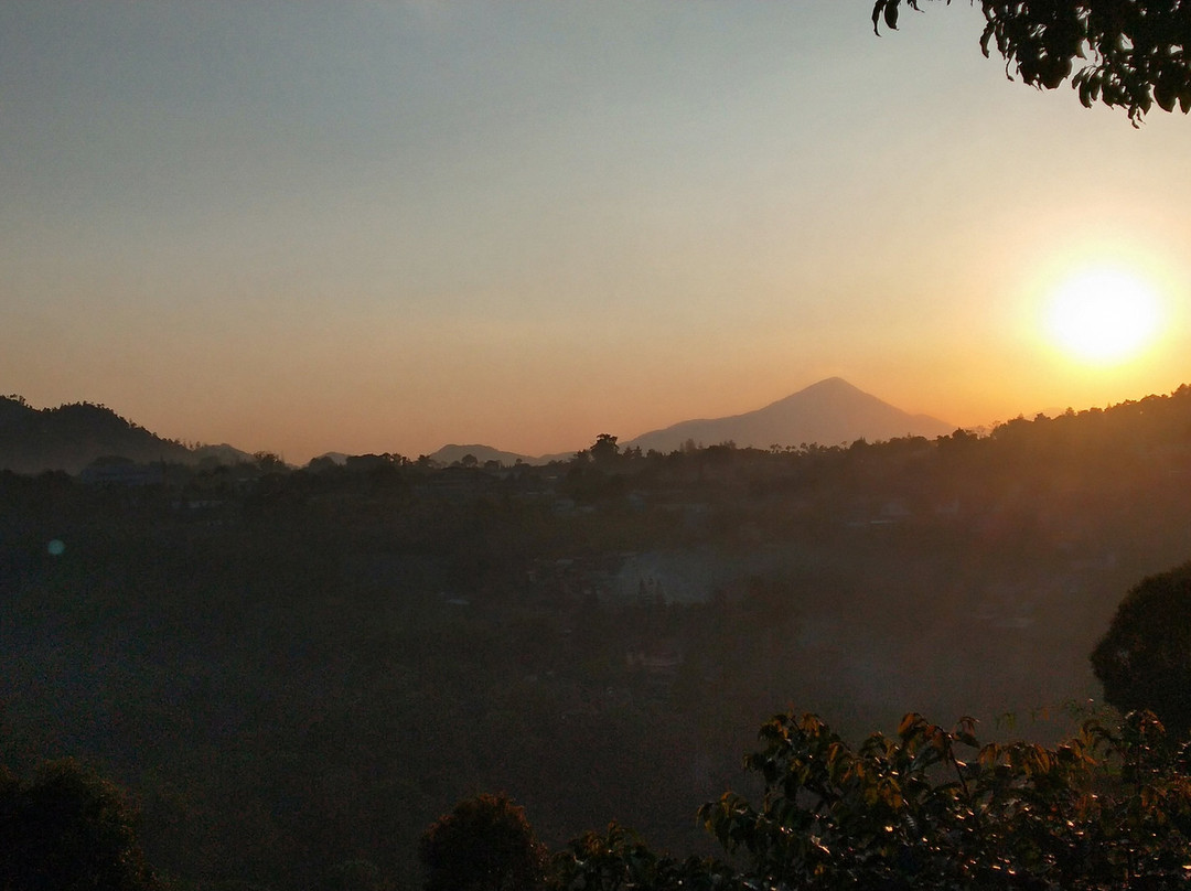 Trizara Resorts主图