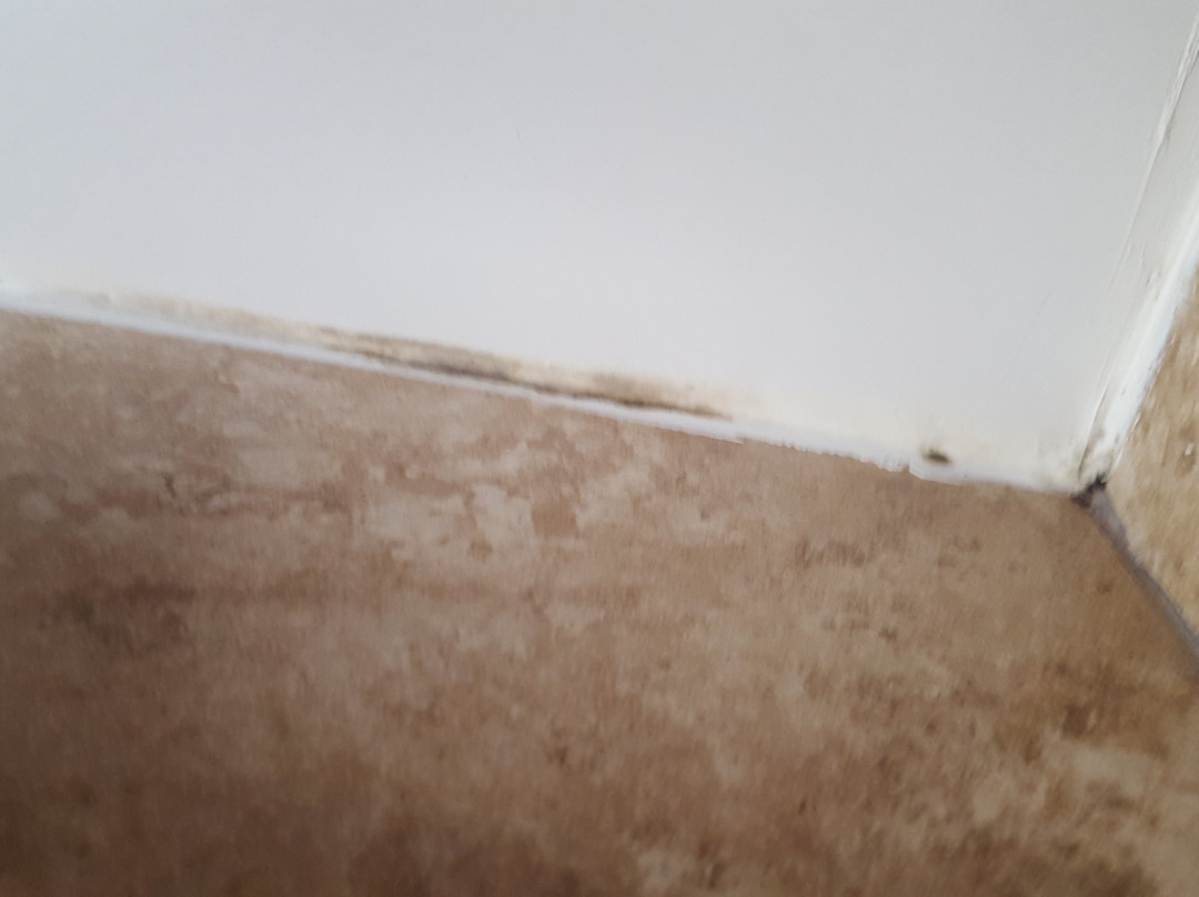 La Quinta Inn & Suites by Wyndham Guthrie主图