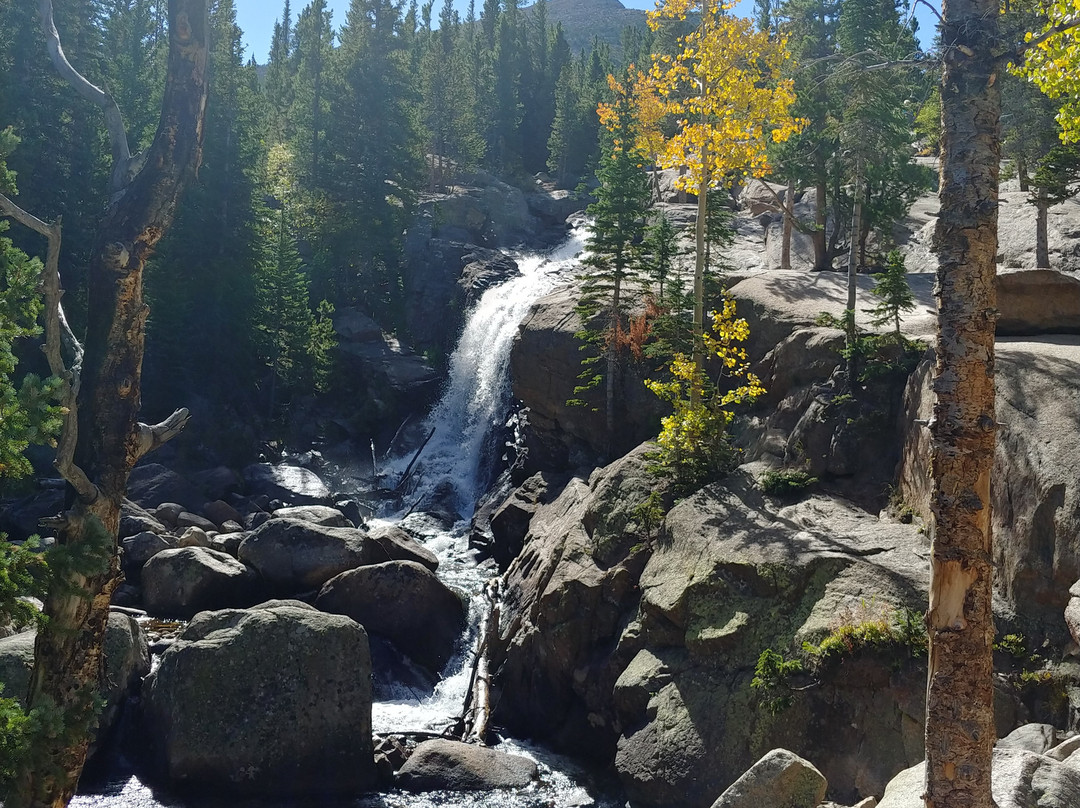 Alberta Falls景点图片