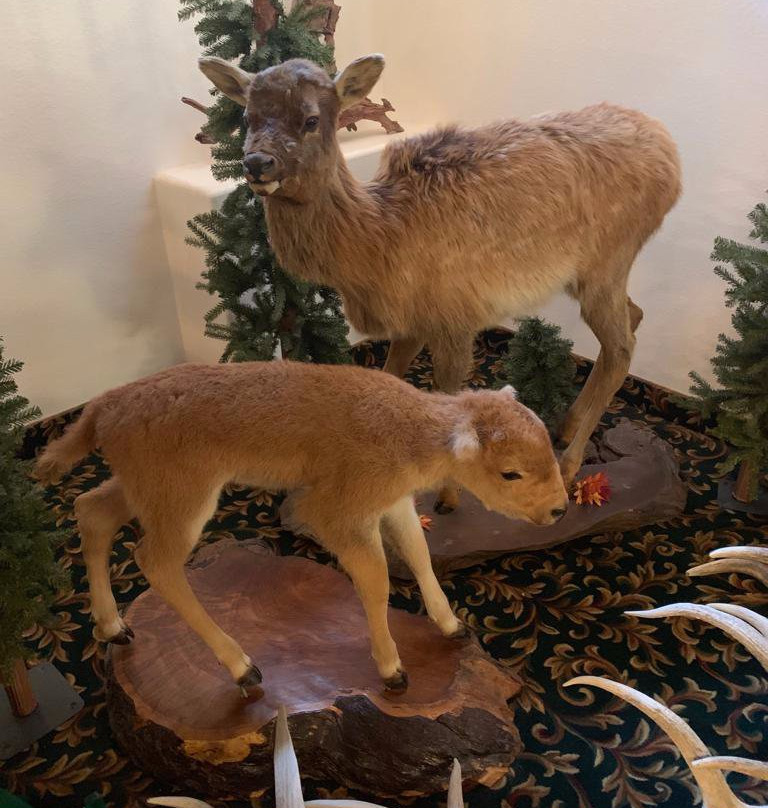 Greenwood Village Inn & Suites主图