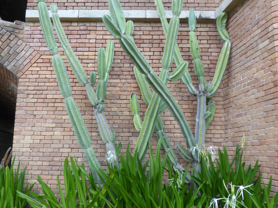 干龟岛国家公园-基韦斯特必去景点