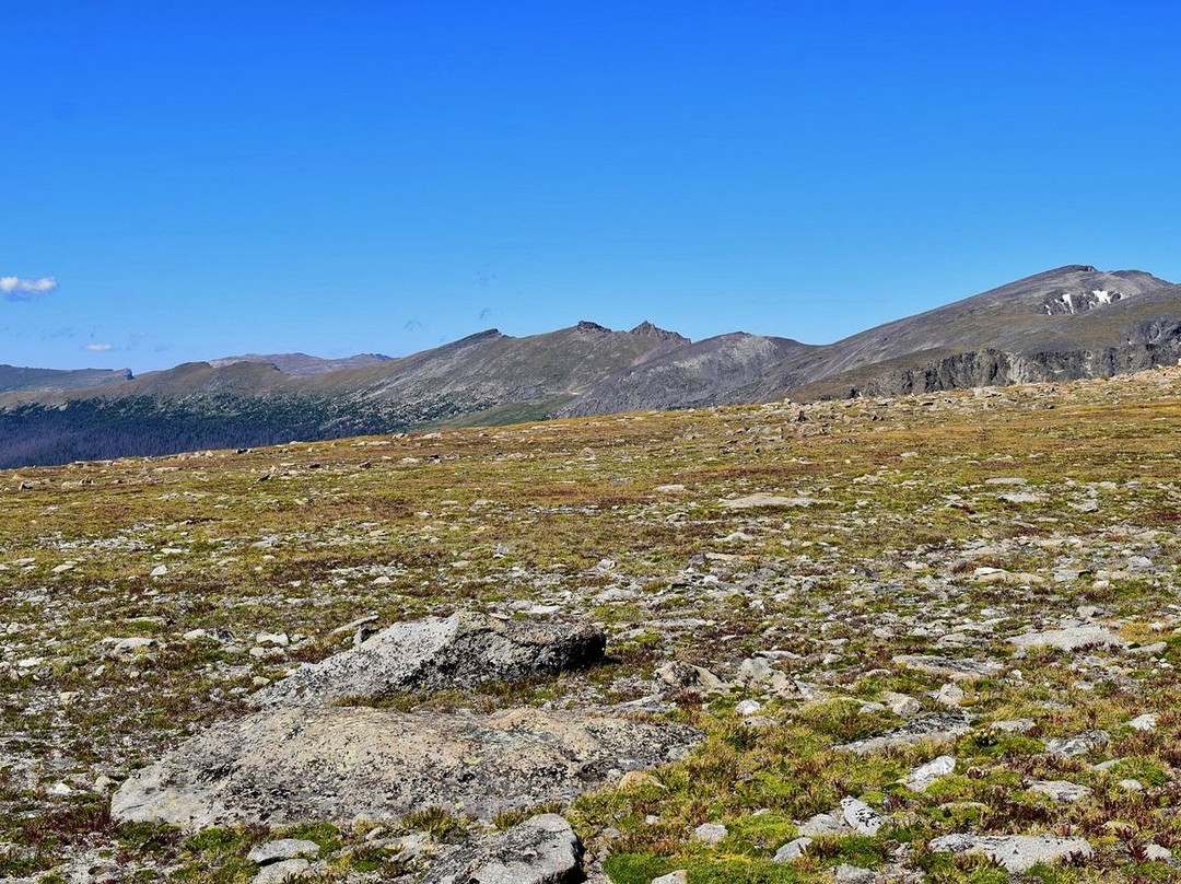Tundra Communities Trail-落基山国家公园必去景点