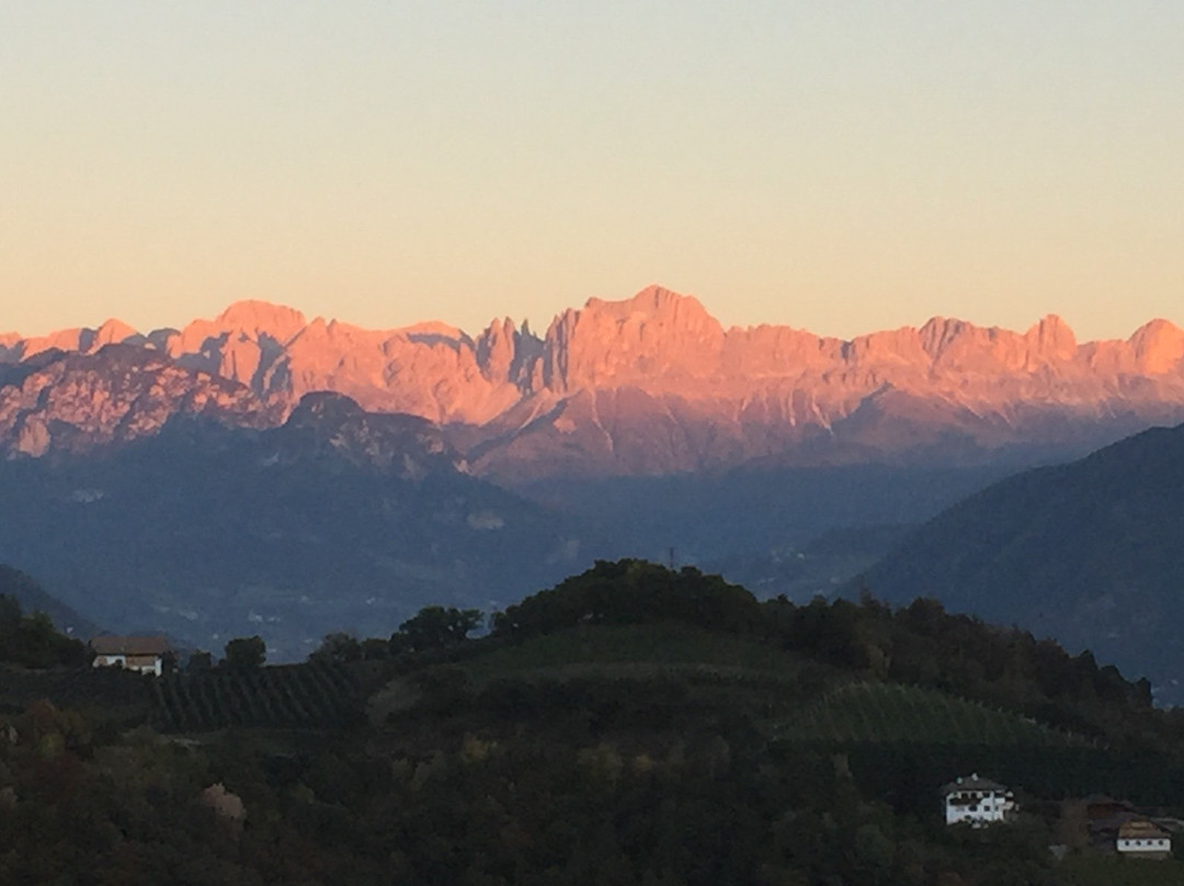 Gasthof Locher主图