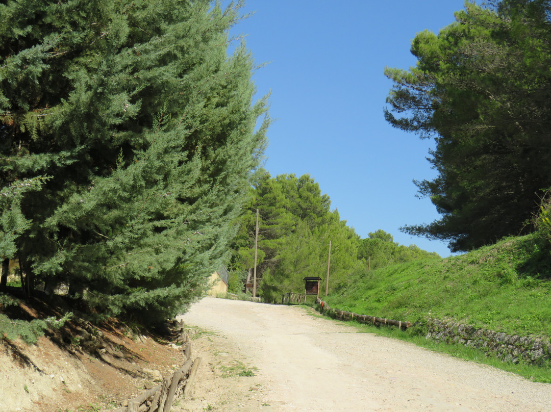Parco Minerario Floristella-Grottacalda-Valguarnera Caropepe必去景点