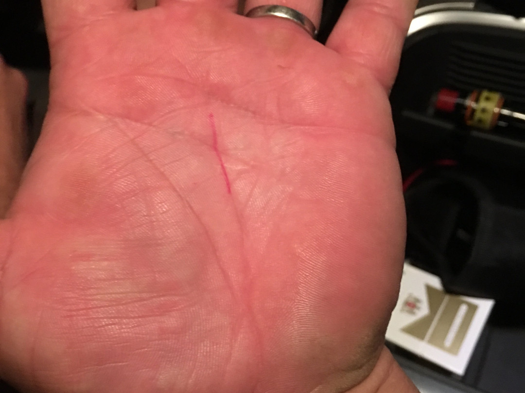 The Penny Grave-De Leon必去景点