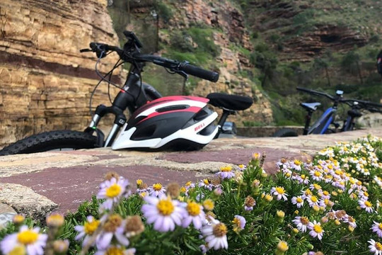 EBike Animal Ocean-木湾必去景点