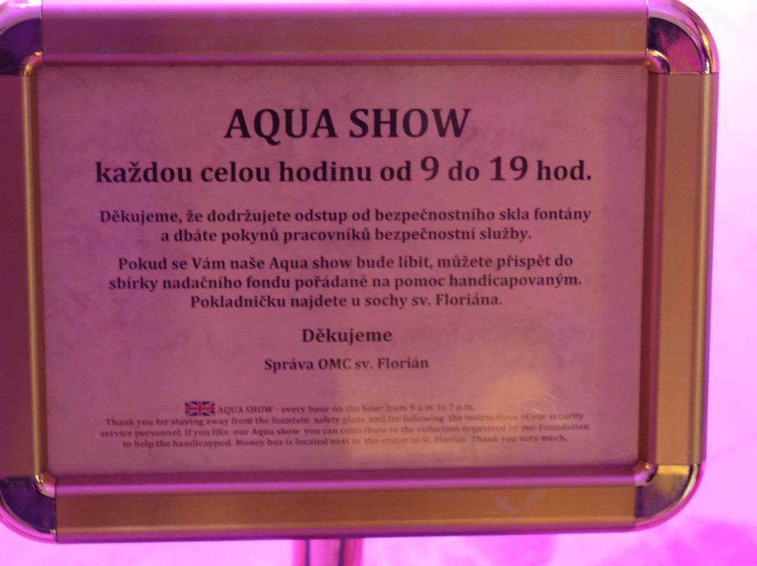 Aqua Show-英吉夫必去景点