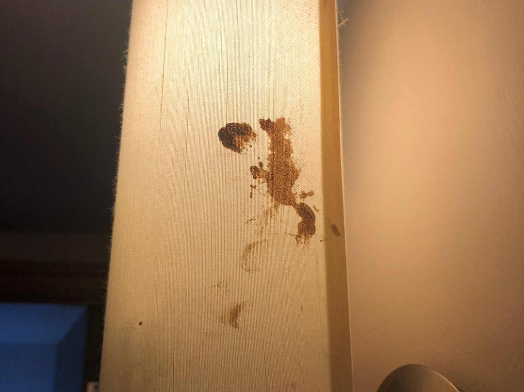 The Groves Hotel主图