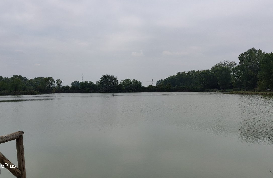 Nogarole Rocca旅游攻略图片
