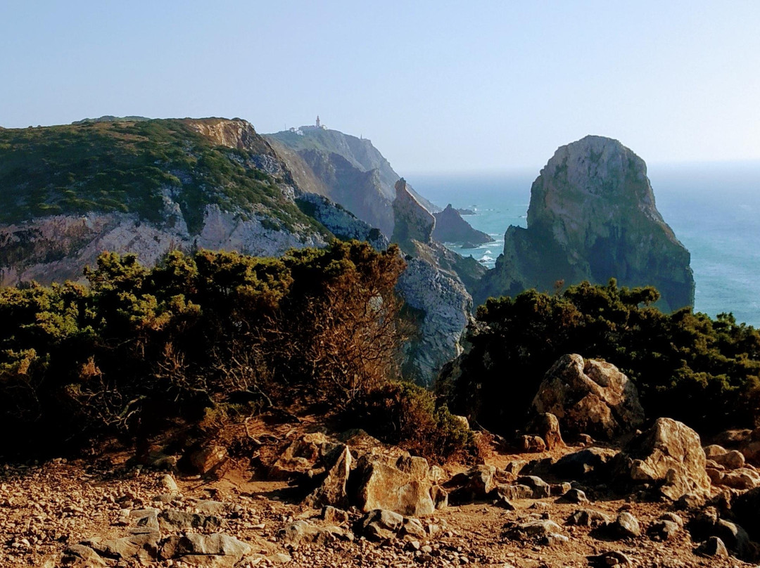 Photo Safari Jeep Tour景点图片