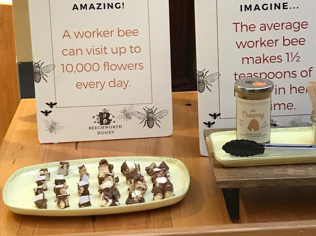 Chocoholic Tours-墨尔本必去景点