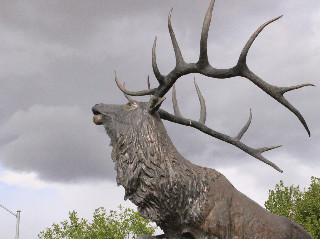 Holiday Lodge Motel Campground主图