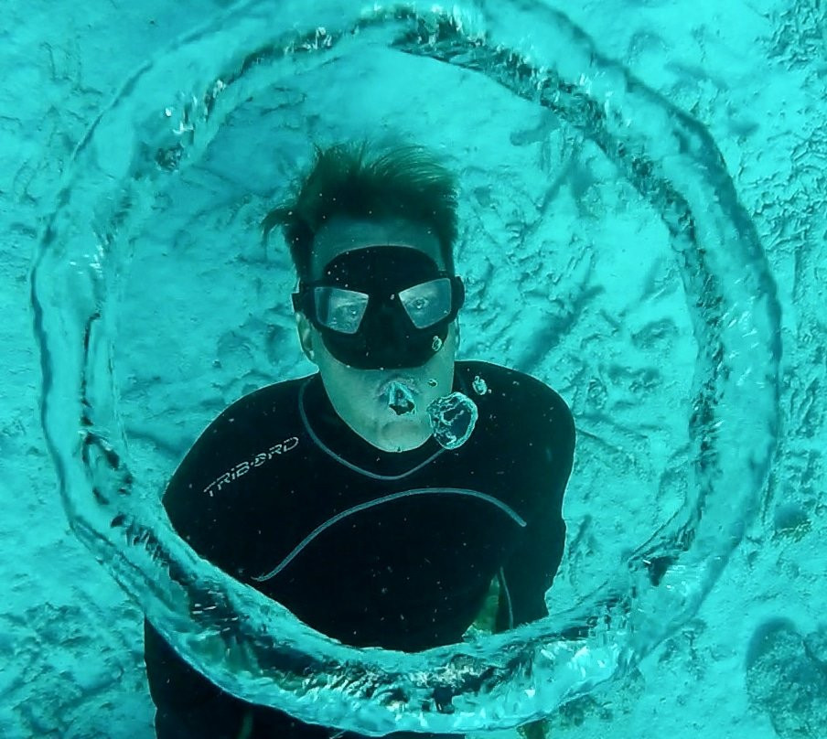 Saba Freediving School-Windwardside必去景点