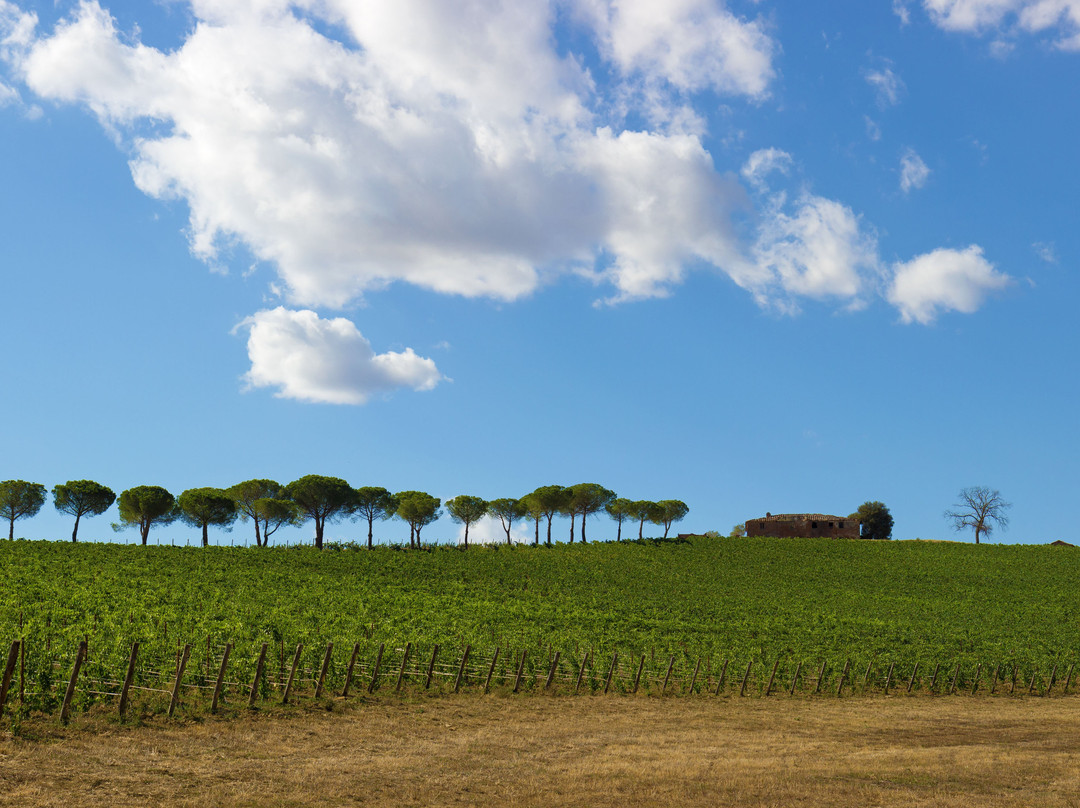 Borgo Tre Rose主图