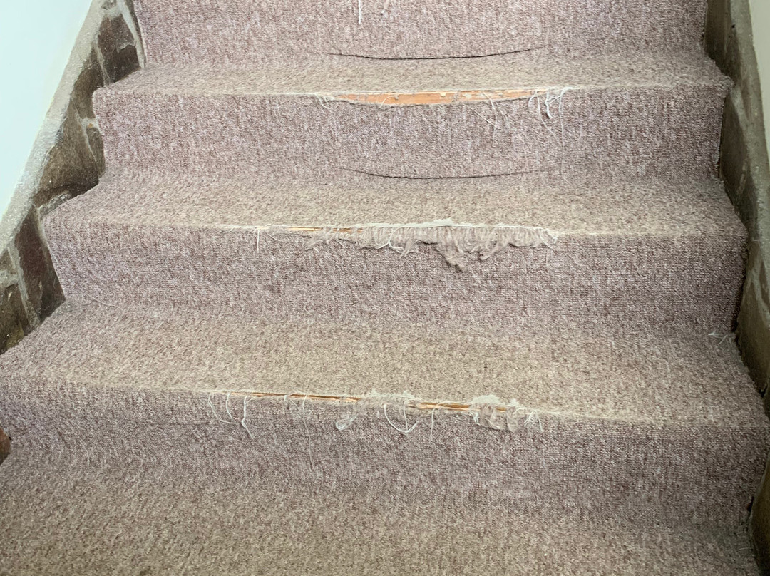 Nevados de Chillan主图