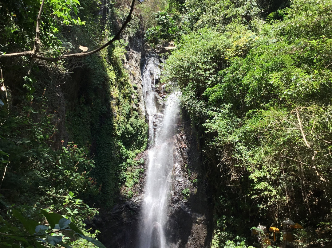 Yeh Mempeh Waterfall景点图片