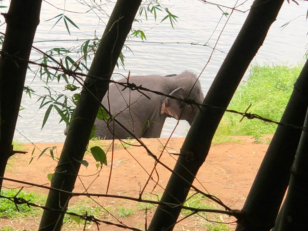 Abhayaranyam Zoo-Kodanad必去景点