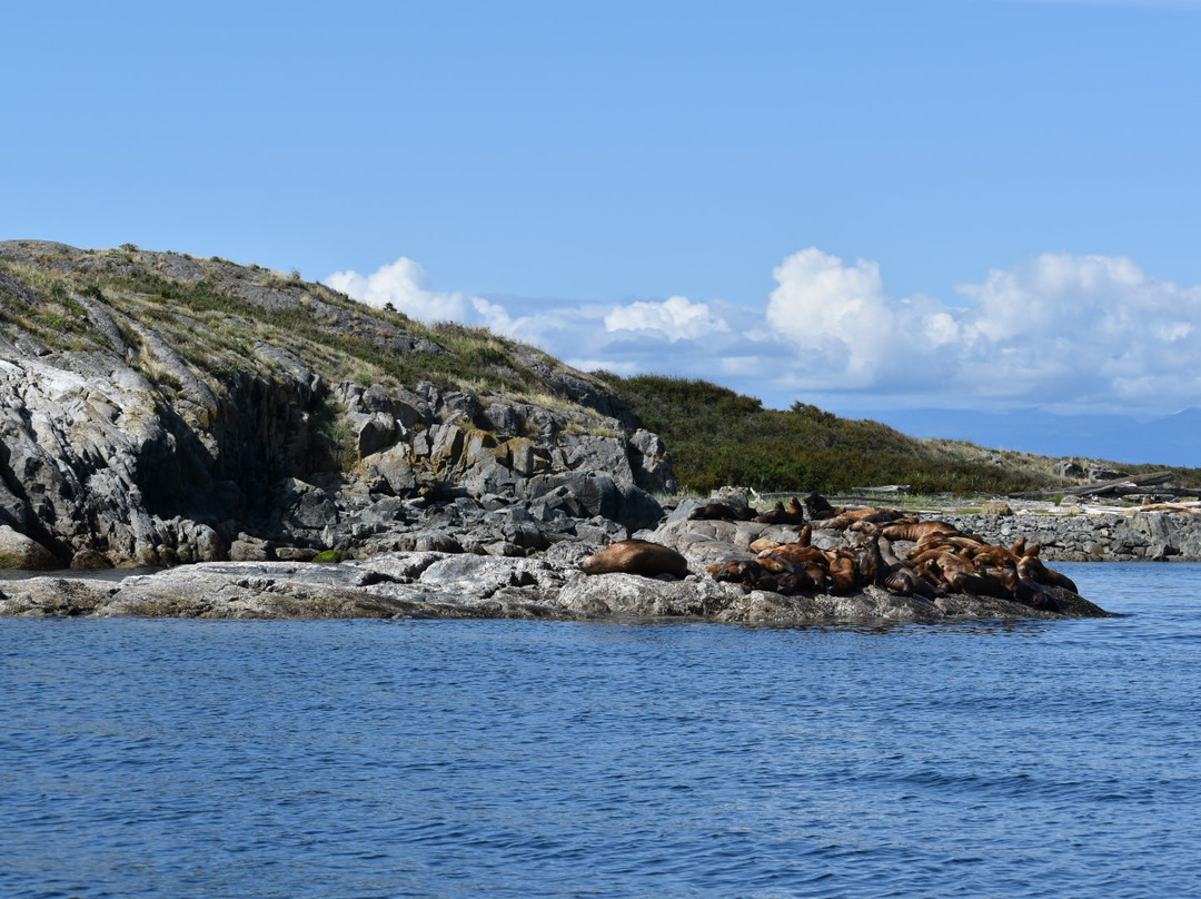 Undercover Sport Fishing Charters-鲍威尔里弗必去景点