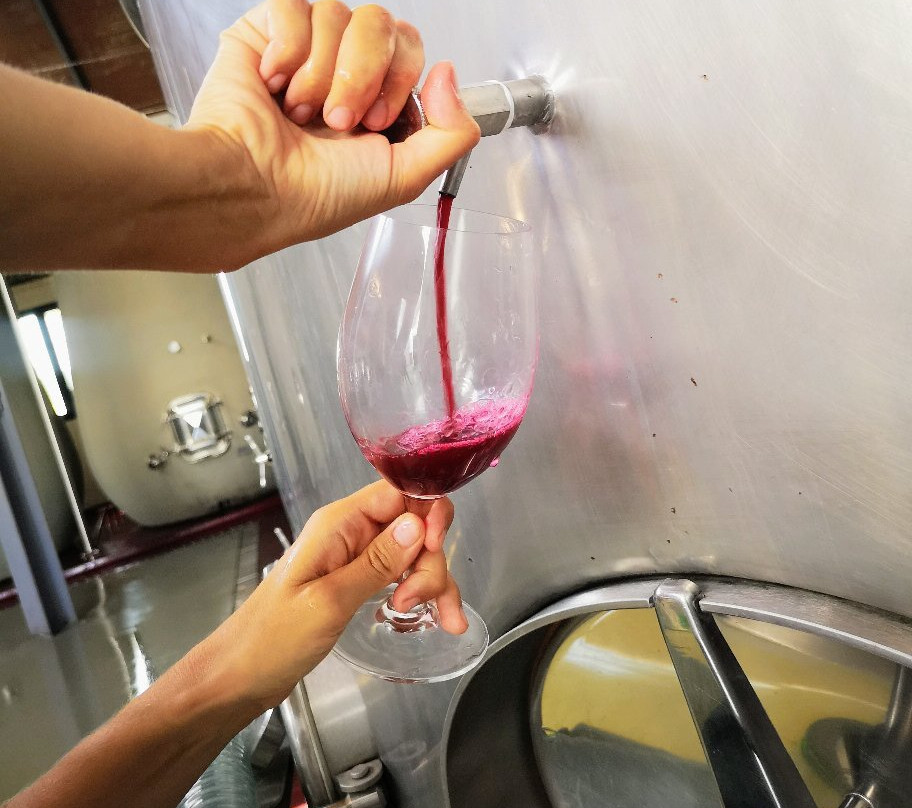 Tannin Trail-马贝拉必去景点