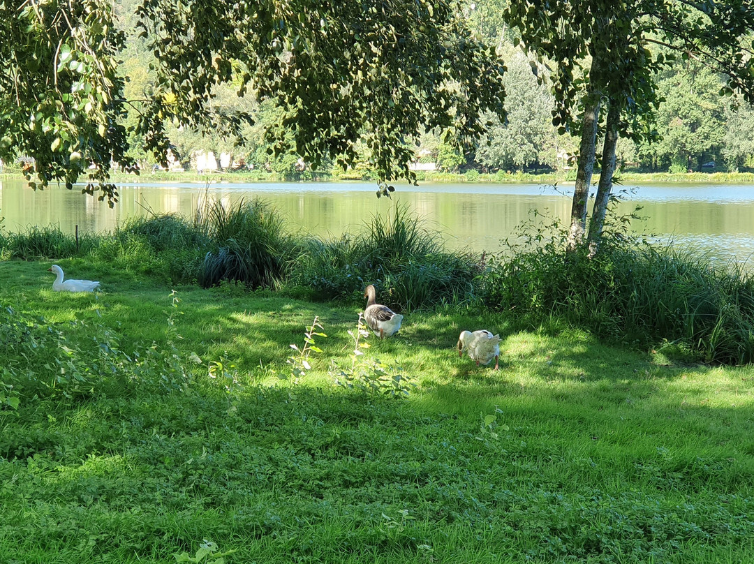 Reserve Naturelle du Marais de Grolejac景点图片