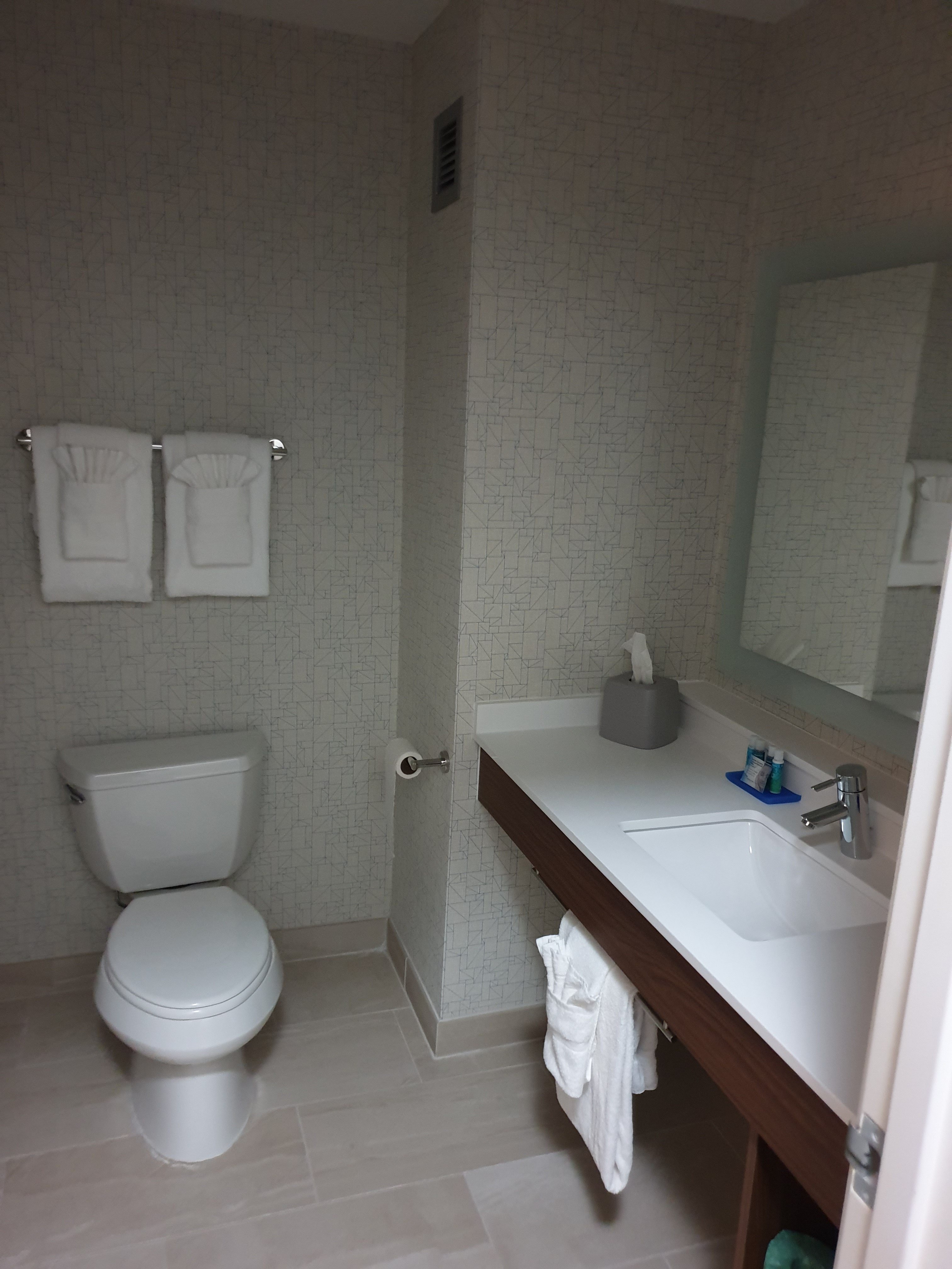 Holiday Inn Express & Suites Lake Zurich-Barrington by IHG-浴室