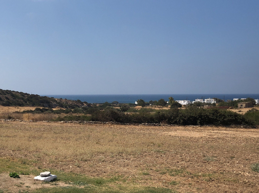 Scala Apartments and Studios主图