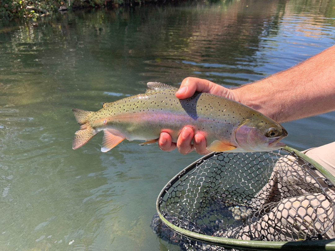 Drift On The Fly-Grass Valley必去景点