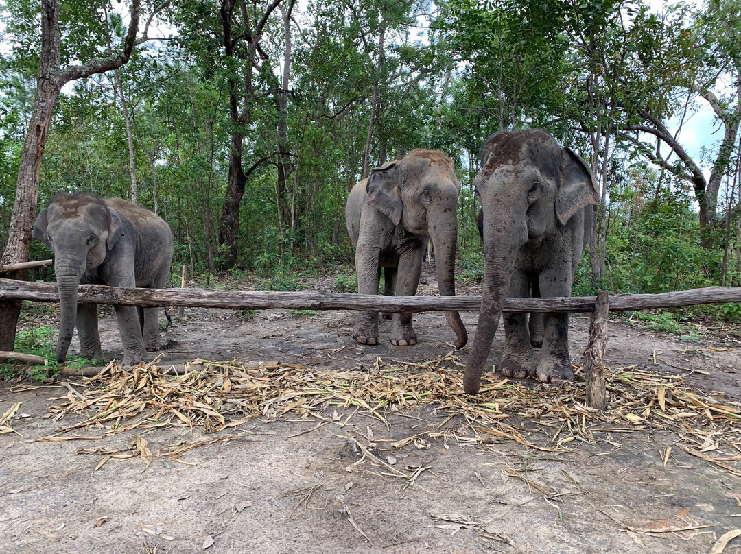 Karen Elephant Habitat-Mae Win必去景点