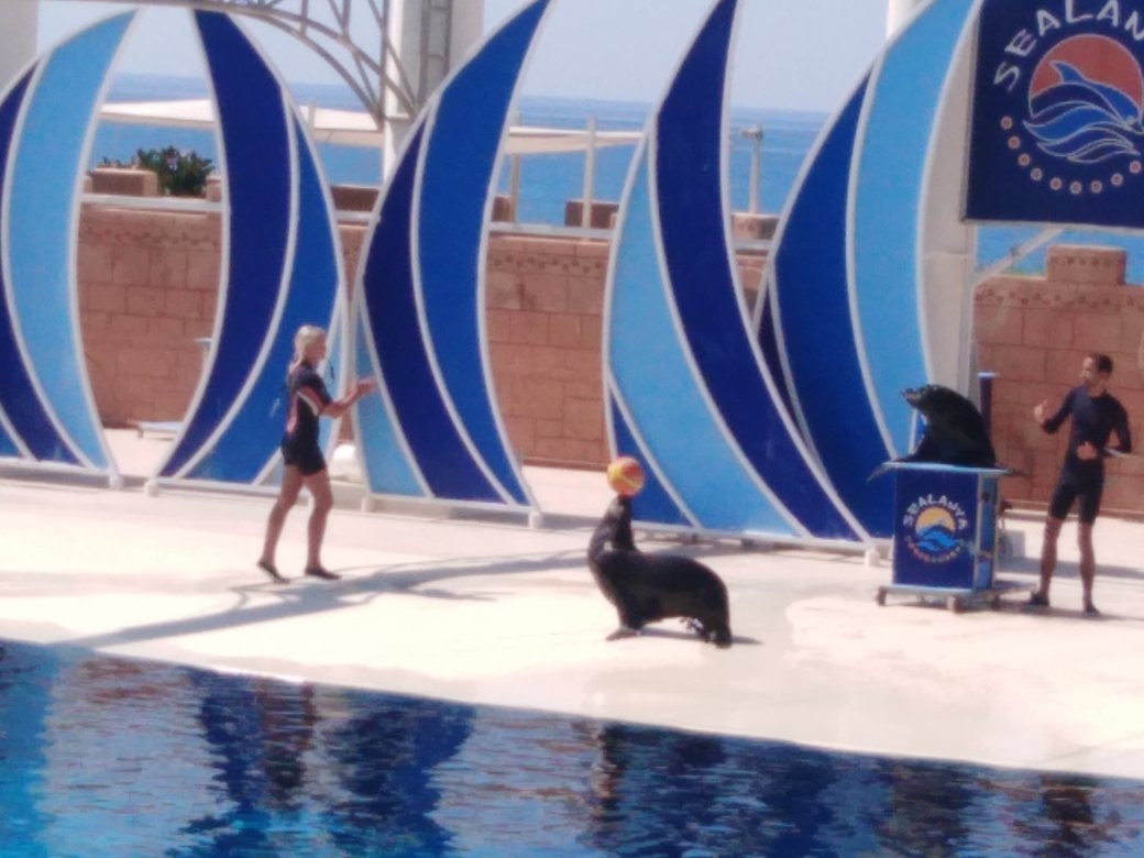 Alanya Fun Sea Park景点图片