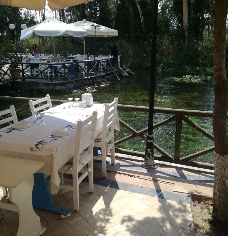 Gokova餐馆和美食-Cennet Restaurant