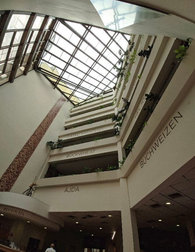 Hotel Ajda主图