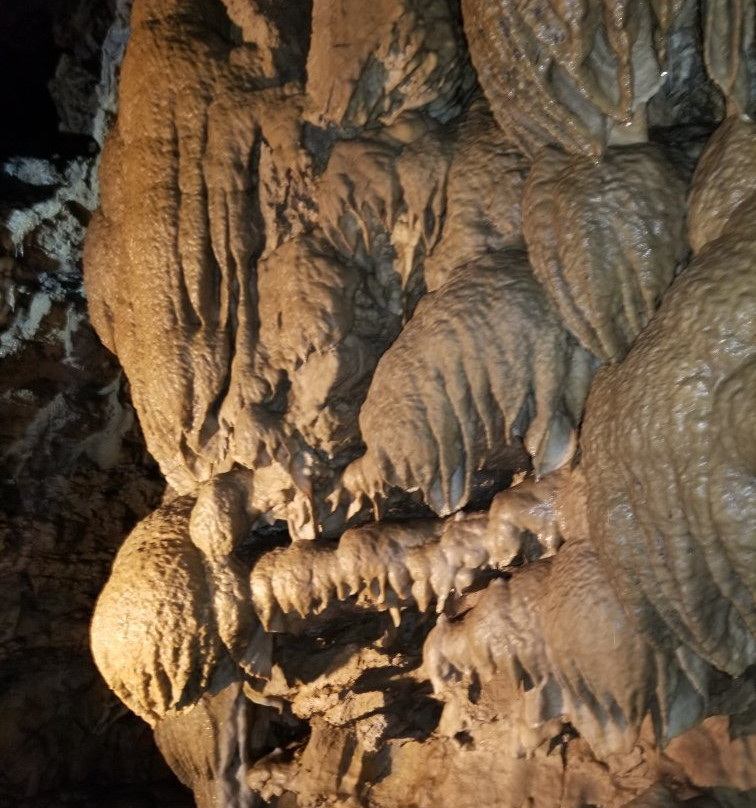 Oregon Caves National Monument and Preserve景点图片