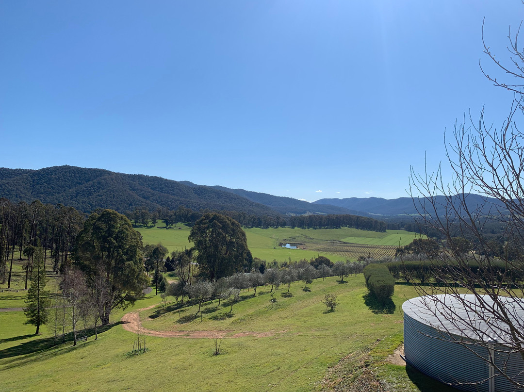Mt Buffalo Olives-Porepunkah必去景点