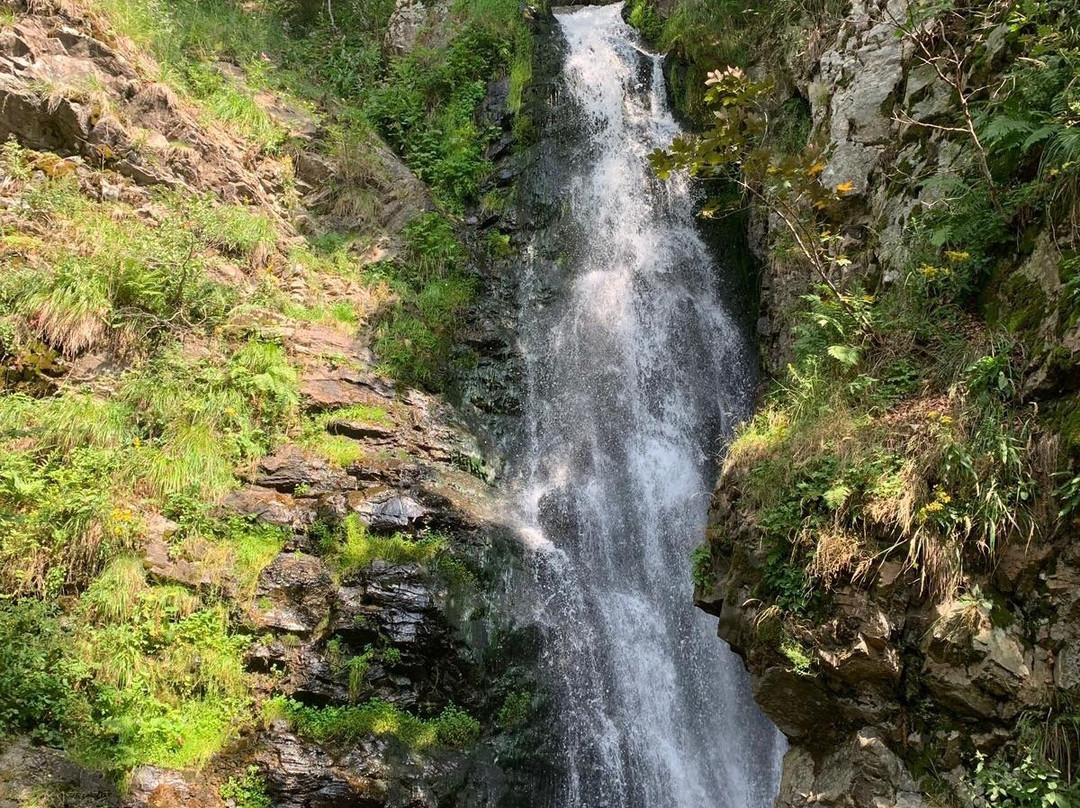 Todtnau Waterfalls景点图片