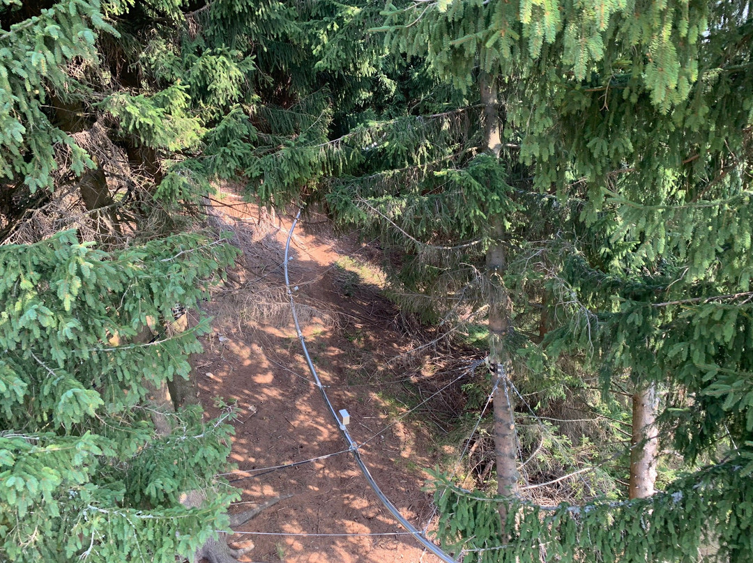 Flyline-Kurort Oberwiesenthal必去景点