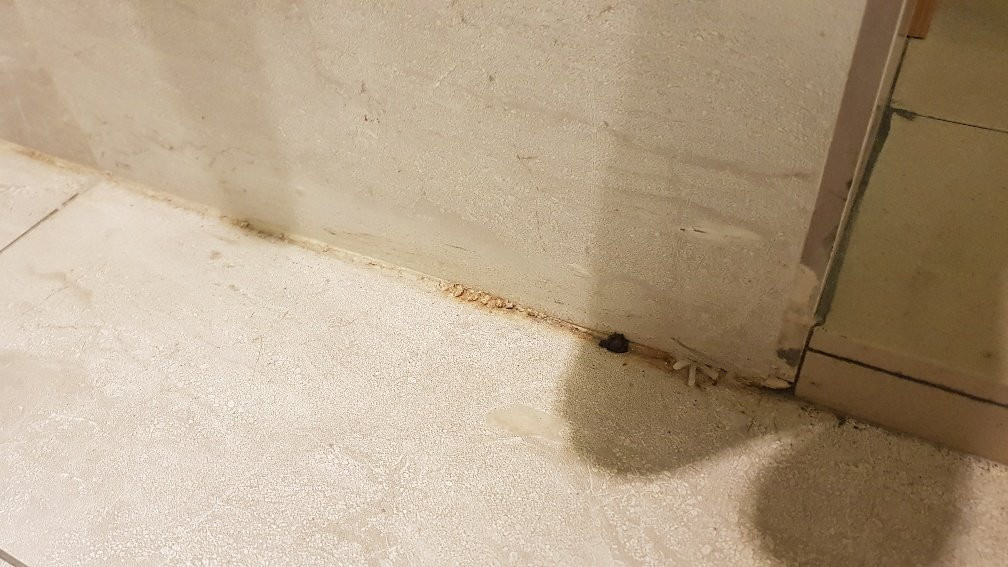 士乃宴宾雅酒店主图