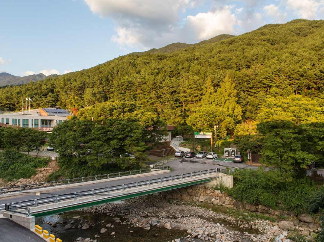 Jirisan Parkview主图