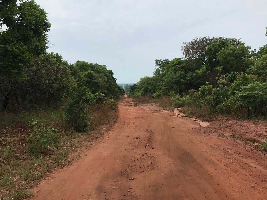 Notre-Dame Of Bangui Cathedral-班基必去景点